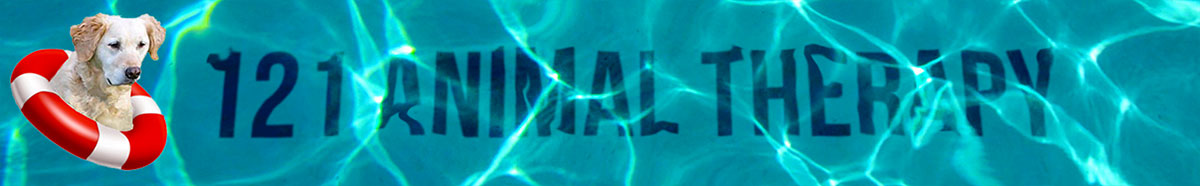 1200 water logo